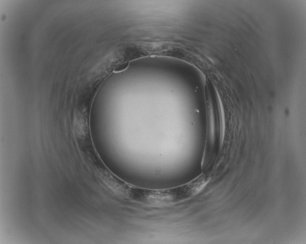 X0000074930515200609011054