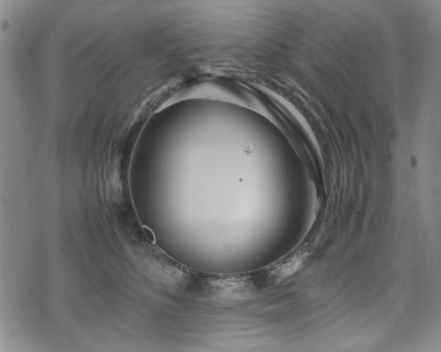 X0000074930516200609011054