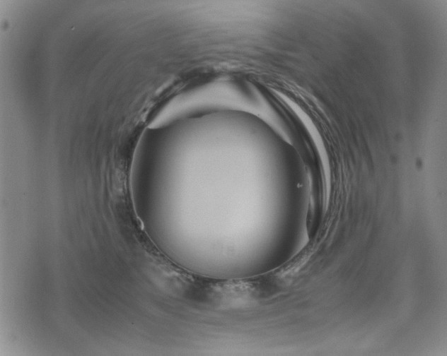 X0000074930517200609011054