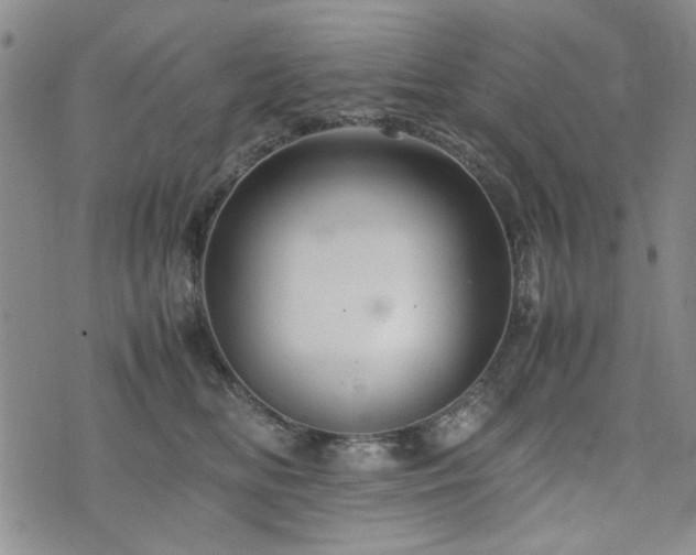 X0000074930518200609011054