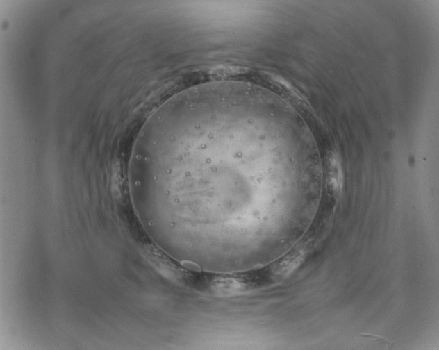 X0000074930519200609011054