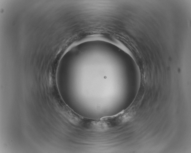 X0000074930520200609011054