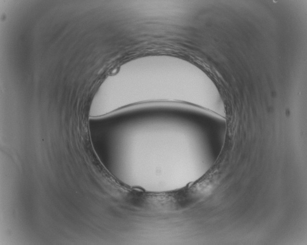 X0000074930521200609011054