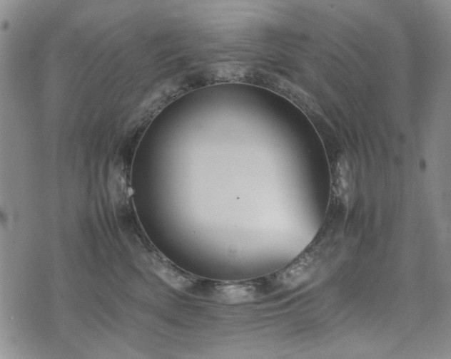 X0000074930522200609011054