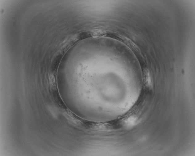 X0000074930523200609011054