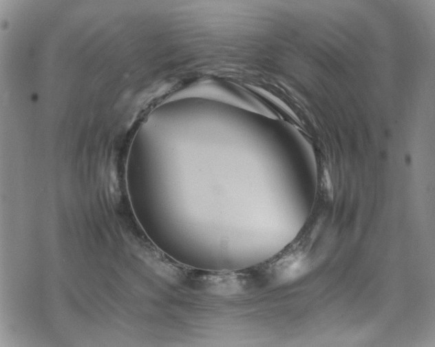 X0000074930524200609011054