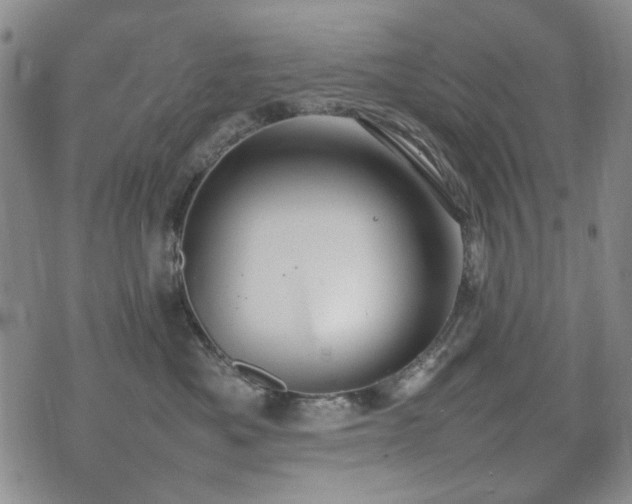 X0000074930525200609011054