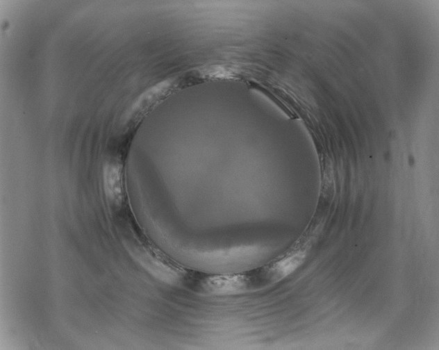 X0000074930526200609011054