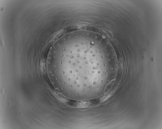 X0000074930527200609011054