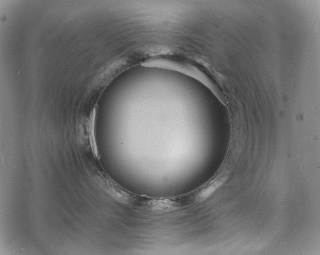 X0000074930528200609011054