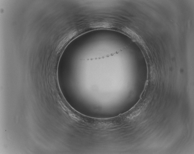 X0000074930529200609011053