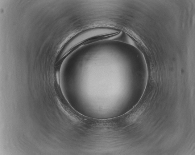 X0000074930530200609011053