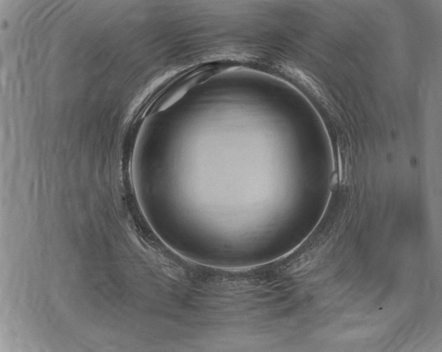 X0000074930531200609011053