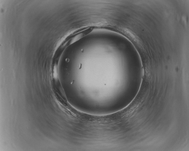 X0000074930532200609011053