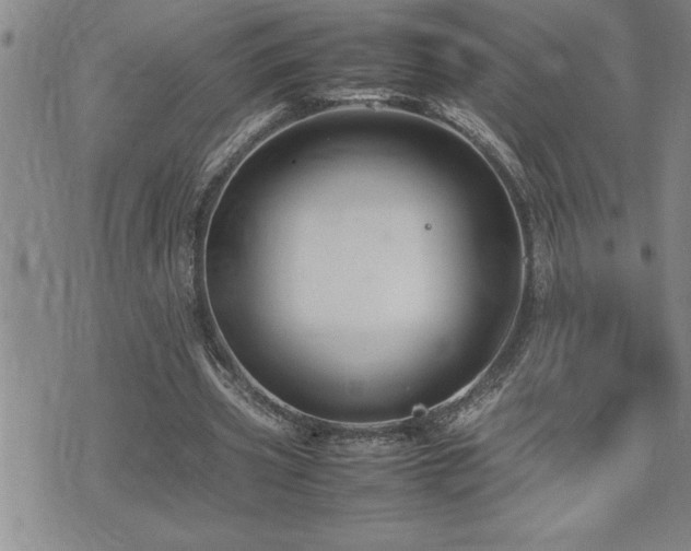 X0000074930533200609011053