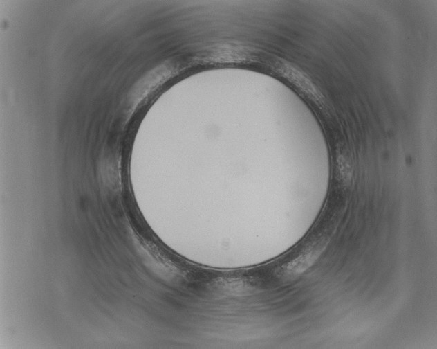 X0000074930534200609011053