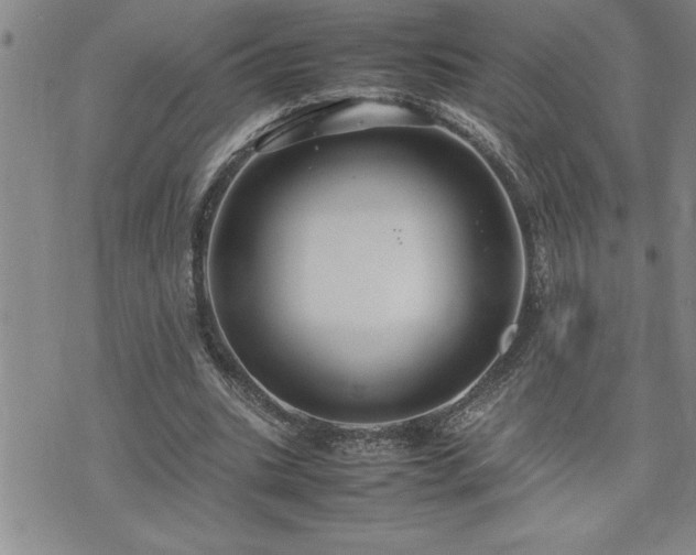 X0000074930535200609011053