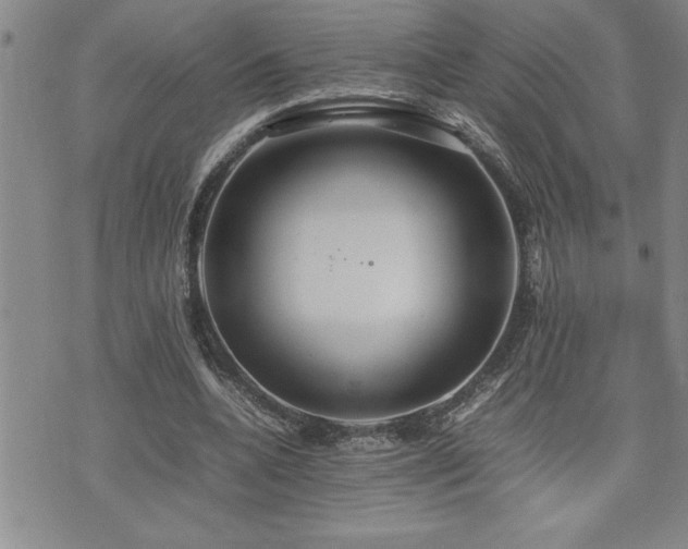 X0000074930536200609011053