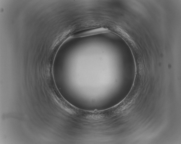 X0000074930537200609011053