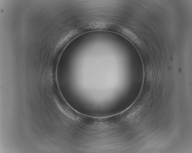 X0000074930538200609011053