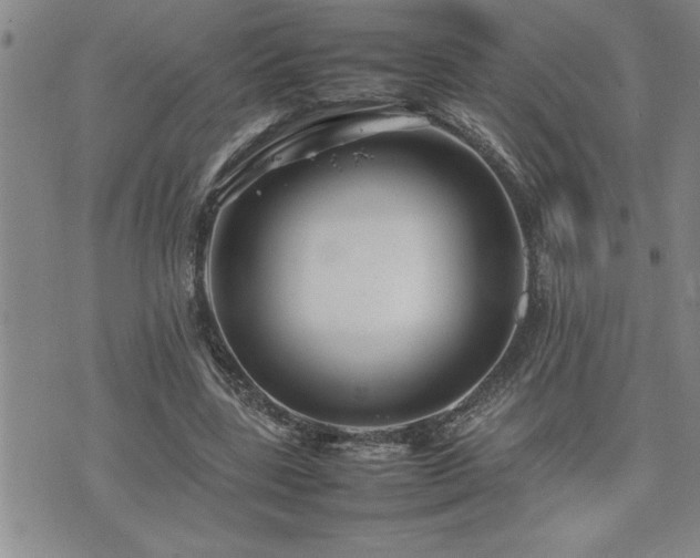 X0000074930539200609011053