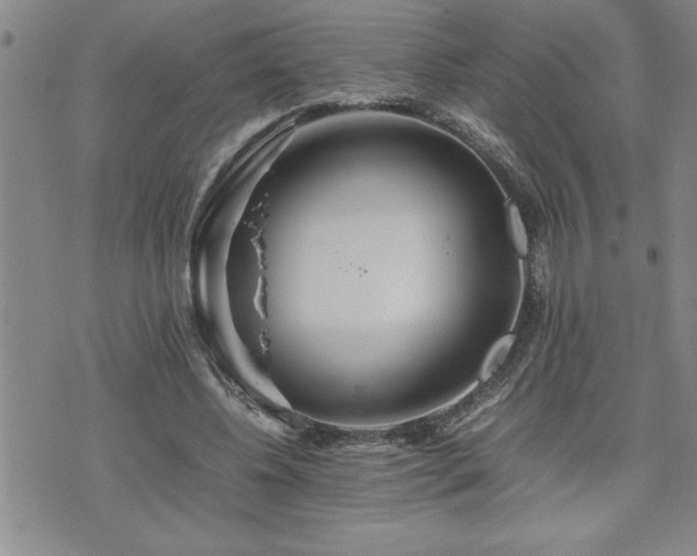 X0000074930540200609011053