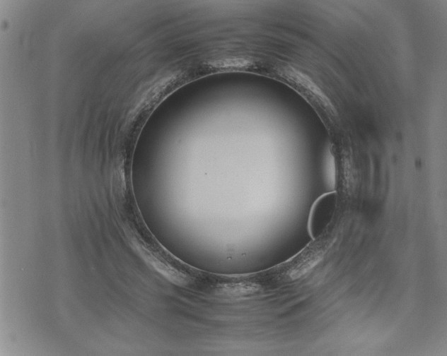 X0000074930541200609011053