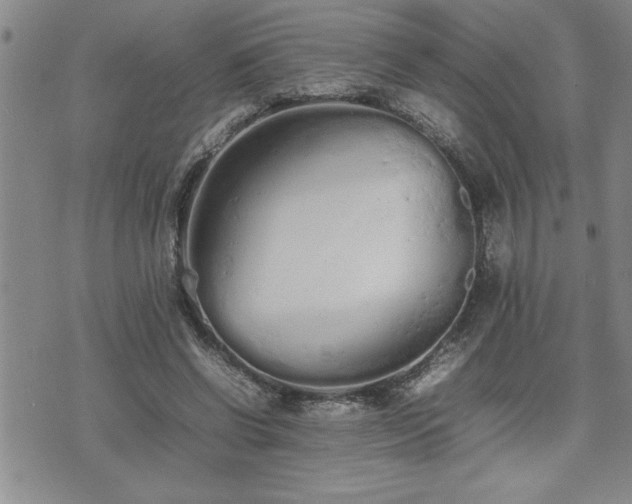 X0000074930542200609011053