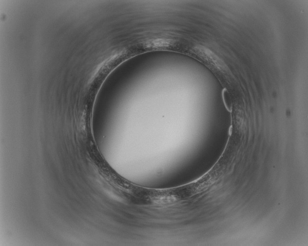 X0000074930543200609011053