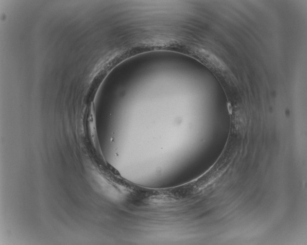 X0000074930544200609011053