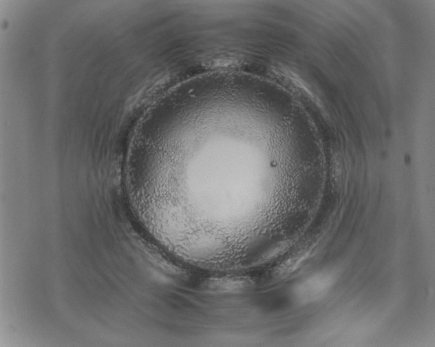 X0000074930545200609011053