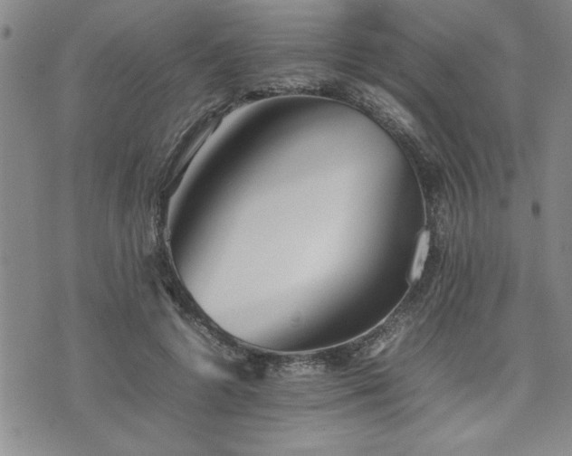 X0000074930546200609011053