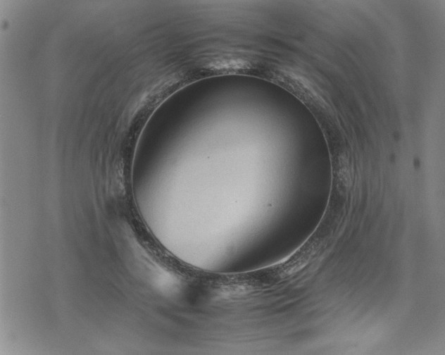 X0000074930547200609011053