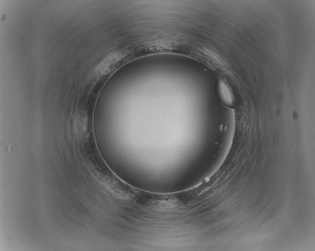 X0000074930548200609011053