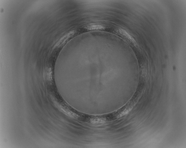 X0000074930549200609011053