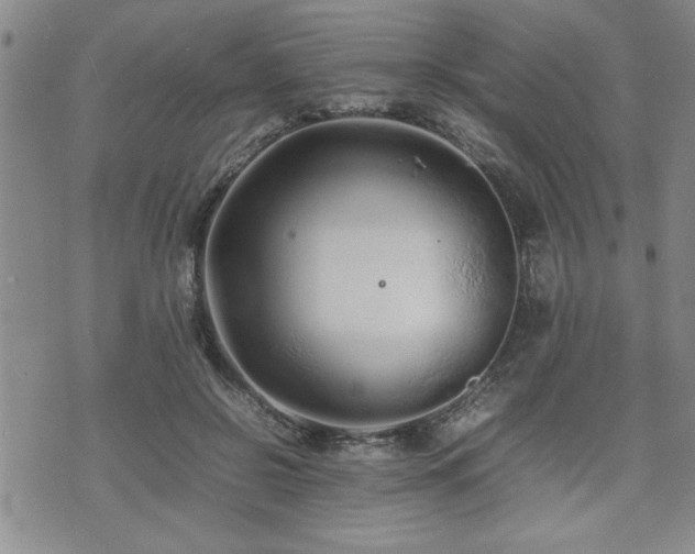 X0000074930550200609011053