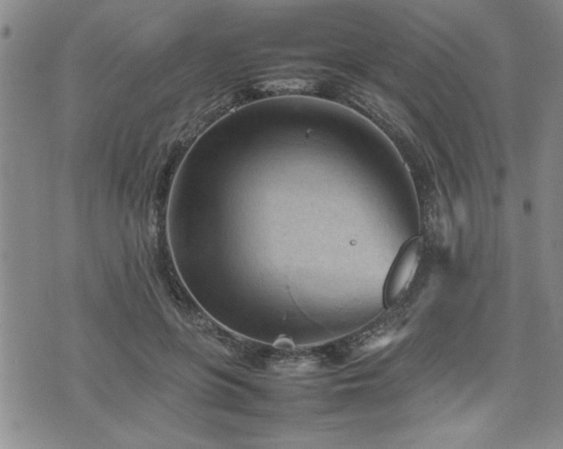 X0000074930551200609011053