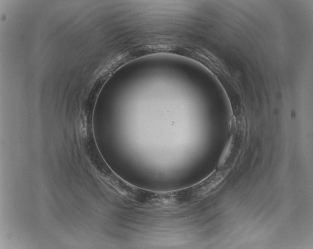 X0000074930552200609011053