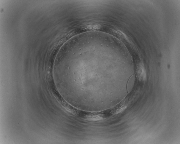 X0000074930553200609011053