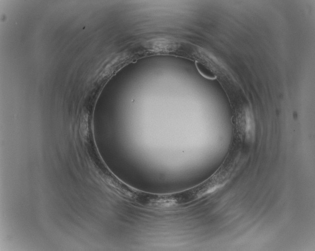 X0000074930554200609011053