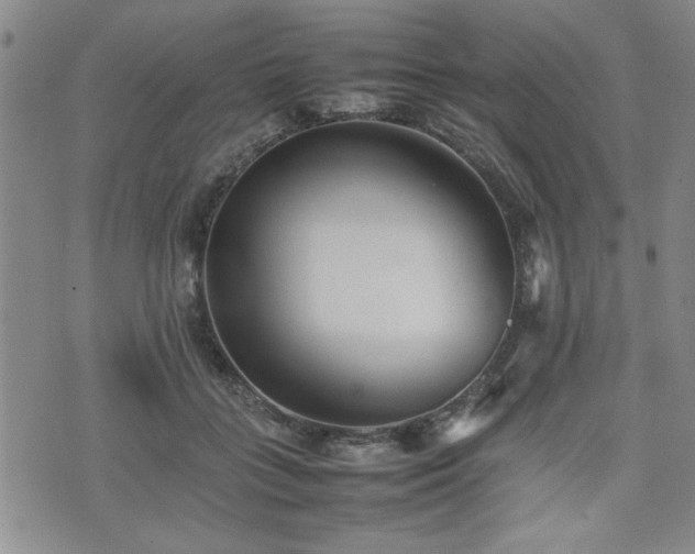 X0000074930555200609011053