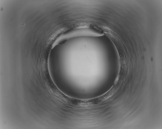 X0000074930556200609011053