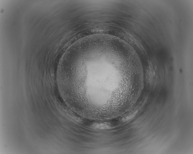 X0000074930557200609011053