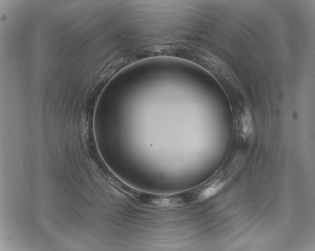 X0000074930558200609011053