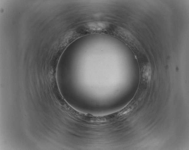 X0000074930559200609011053