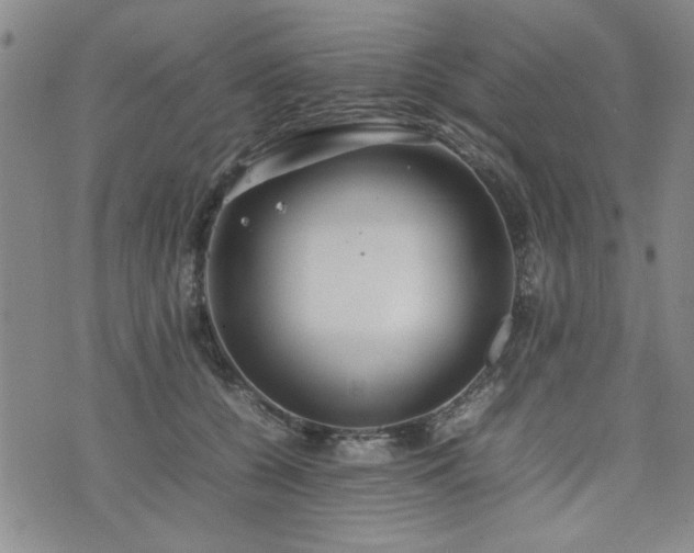 X0000074930560200609011053