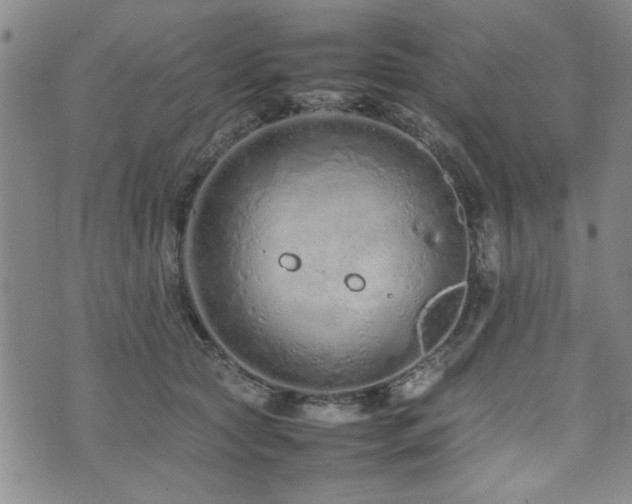 X0000074930561200609011053