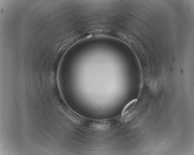 X0000074930563200609011053