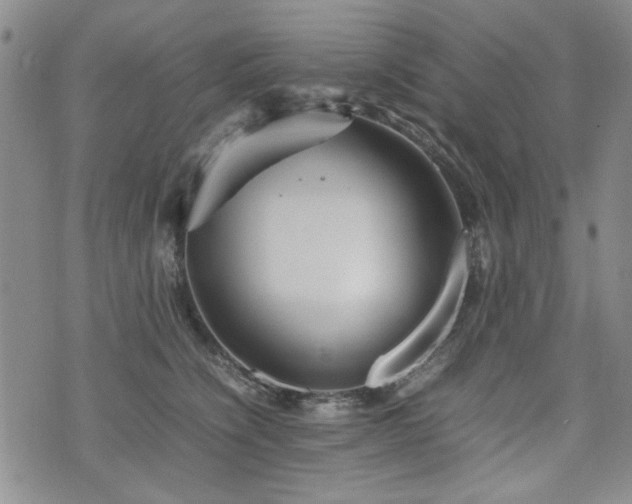 X0000074930564200609011053