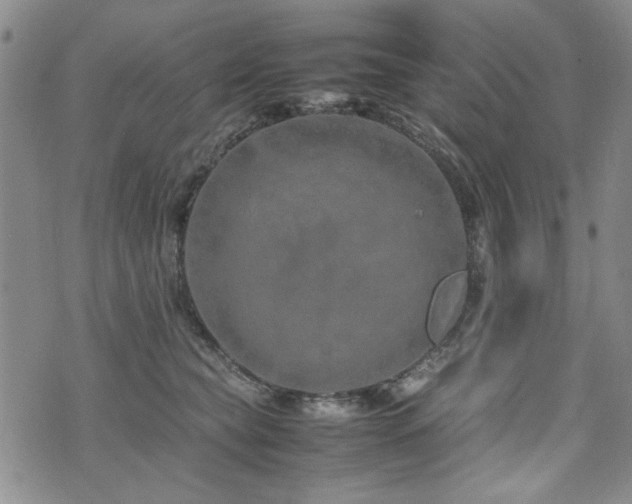 X0000074930565200609011053